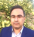 دکتر سیدسعید حسینی هوشیار